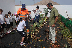 HUERTO DEL COLEGIO DE GÜIME