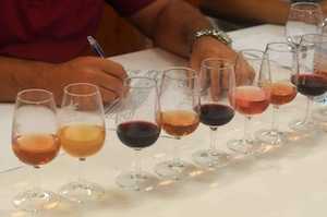 FIESTAS DE AGUAPATA EN EL ISLOTE